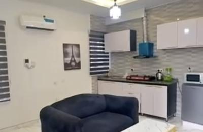 Fully Furnished Mini Flat Opposite Sky Mall Ajah